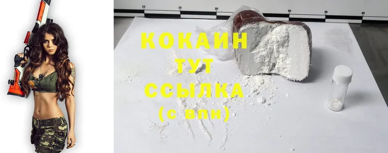 Cocaine FishScale  нарко площадка какой сайт  Курлово 